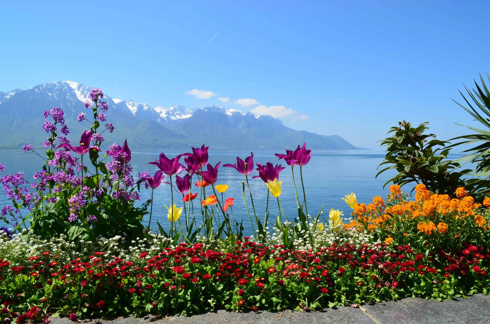 Switzerland – Lake Geneva